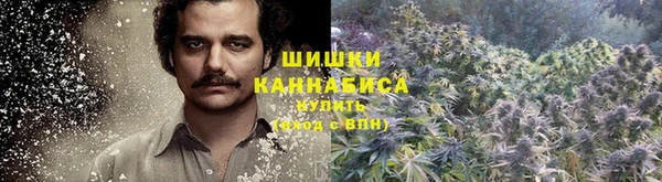 гидра Бугульма